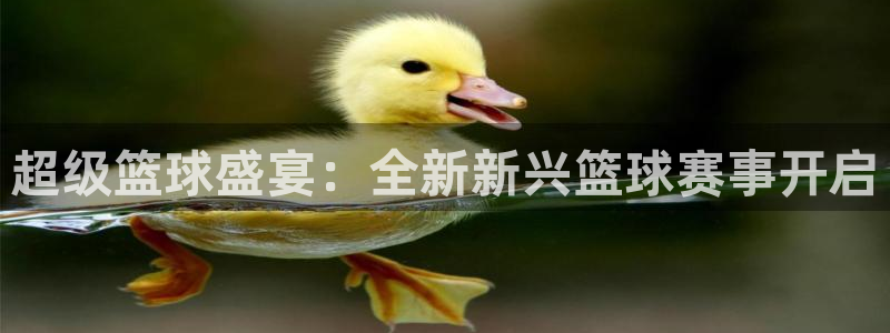 超级篮球盛宴：全新新兴篮球赛事开启