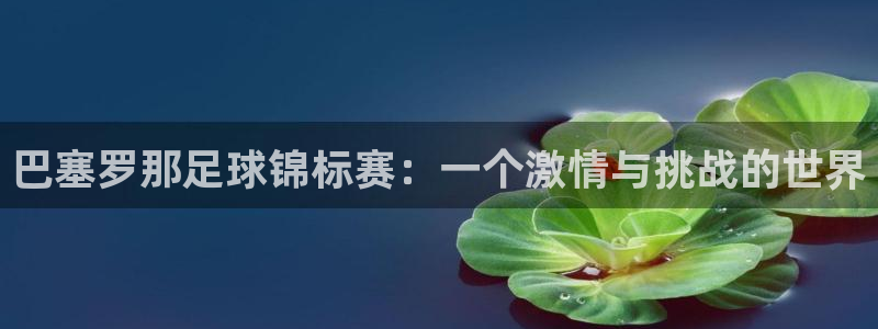 巴塞罗那足球锦标赛：一个激情与挑战的世界