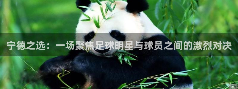  宁德之选：一场聚焦足球明星与球员之间的激烈对决