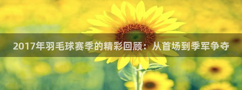 2017年羽毛球赛季的精彩回顾：从首场到季军争夺