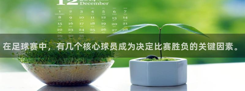 在足球赛中，有几个核心球员成为决定比赛胜负的关键因素。