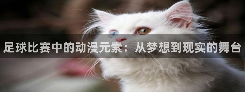 易倍emc全站：足球比赛中的动漫元素：从梦想到现实的舞台