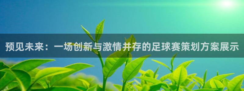 emc易贝下载：预见未来：一场创新与激情并存的足球赛策划方案