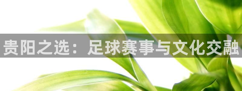  易倍emc官网首页进入：贵阳之选：足球赛事与文化交融