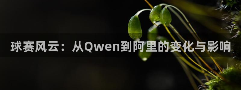 emc易倍官网登录入口：球赛风云：从Qwen到阿里的变化与影