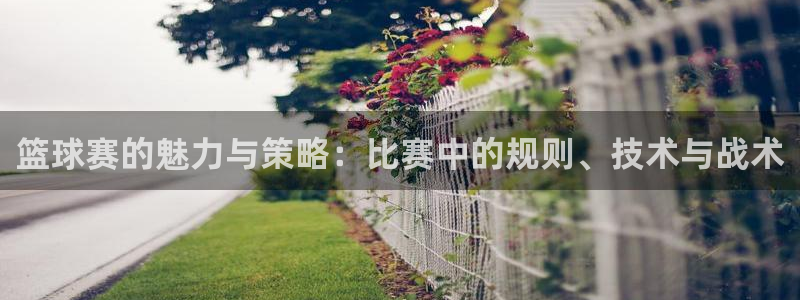  易倍emc官网登录：篮球赛的魅力与策略：比赛中的规则、技术与