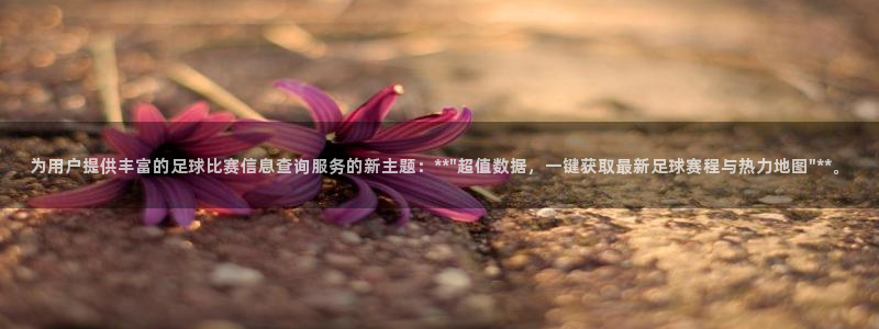 emc易倍官网app下载：为用户提供丰富的足球比赛信息查询服