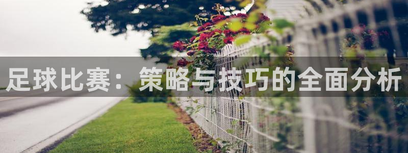 易倍emc全站：足球比赛：策略与技巧的全面分析