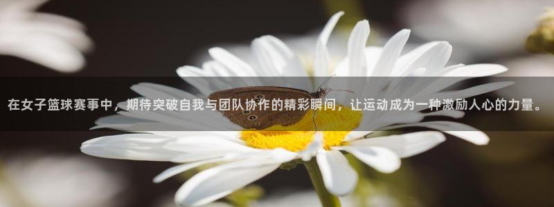  emc易倍·体育app下载：在女子篮球赛事中，期待突破自我与