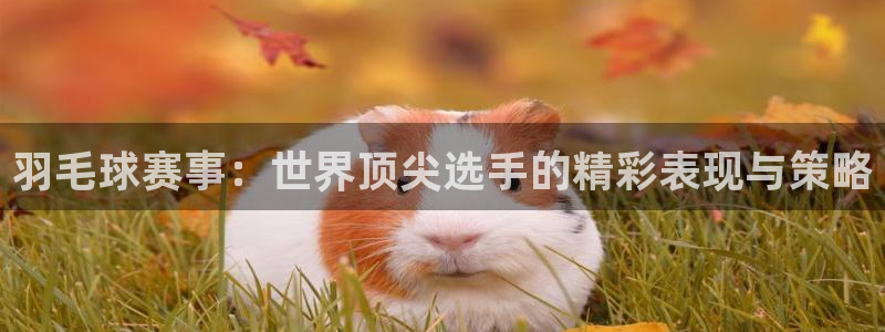  emc体育合作平台：羽毛球赛事：世界顶尖选手的精彩表现与策略