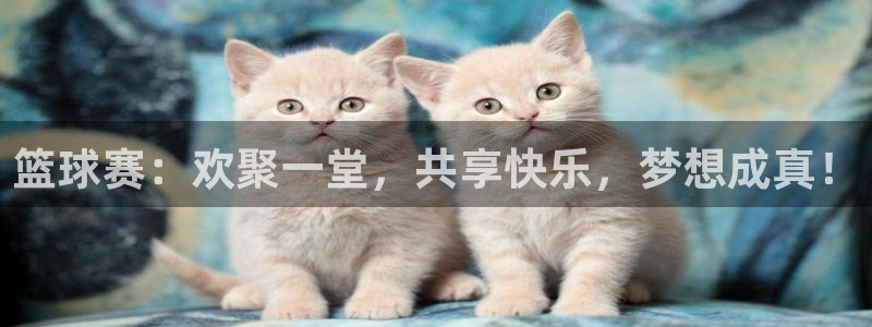  易倍emc网址网页版本登陆：篮球赛：欢聚一堂，共享快乐，梦想
