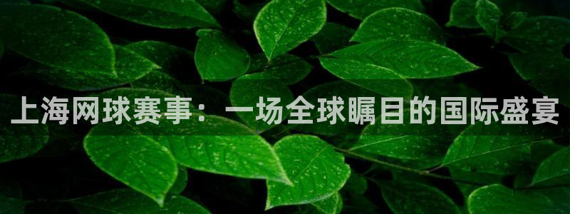 易倍emc官网首页进入：上海网球赛事：一场全球瞩目的国际盛宴
