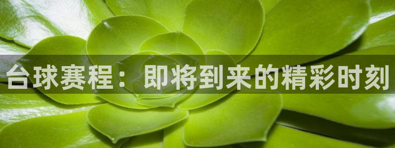 易倍emc官网极速版：台球赛程：即将到来的精彩时刻