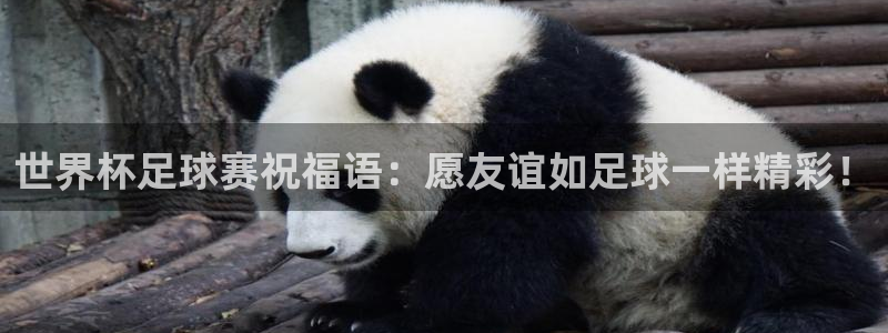 emc易倍·体育赞助了哪些：世界杯足球赛祝福语：愿友谊如足球